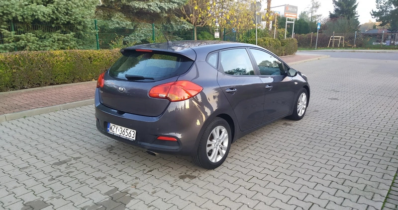 Kia Ceed cena 33700 przebieg: 178500, rok produkcji 2012 z Żyrardów małe 301